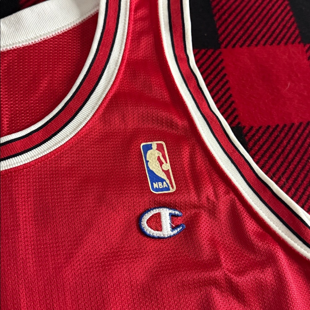 VINTAGE Chicago Bulls #33 Scottie Pippen 1990’s Era Champion Brand NBA Jersey - Picture 3 of 7